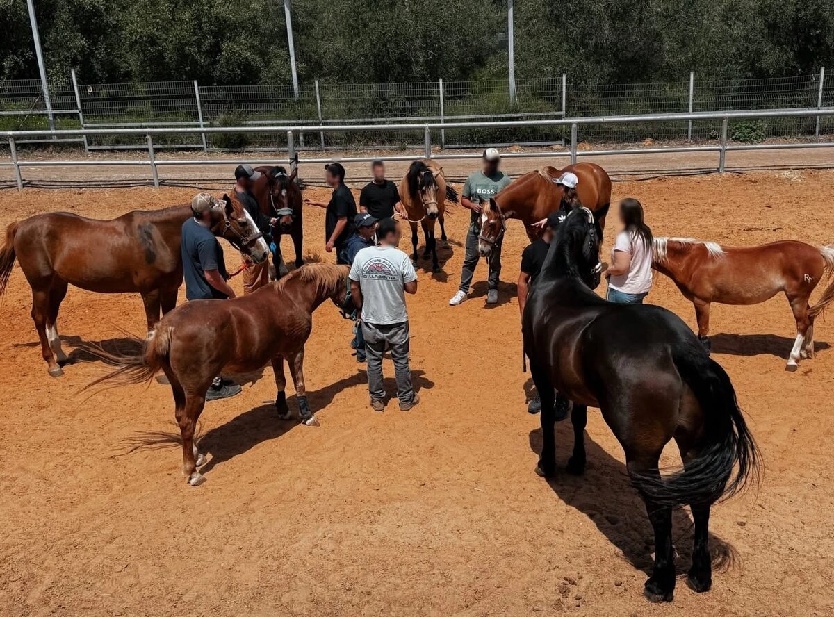 IDF veteran therapeutic session with horse at Aviv Farm